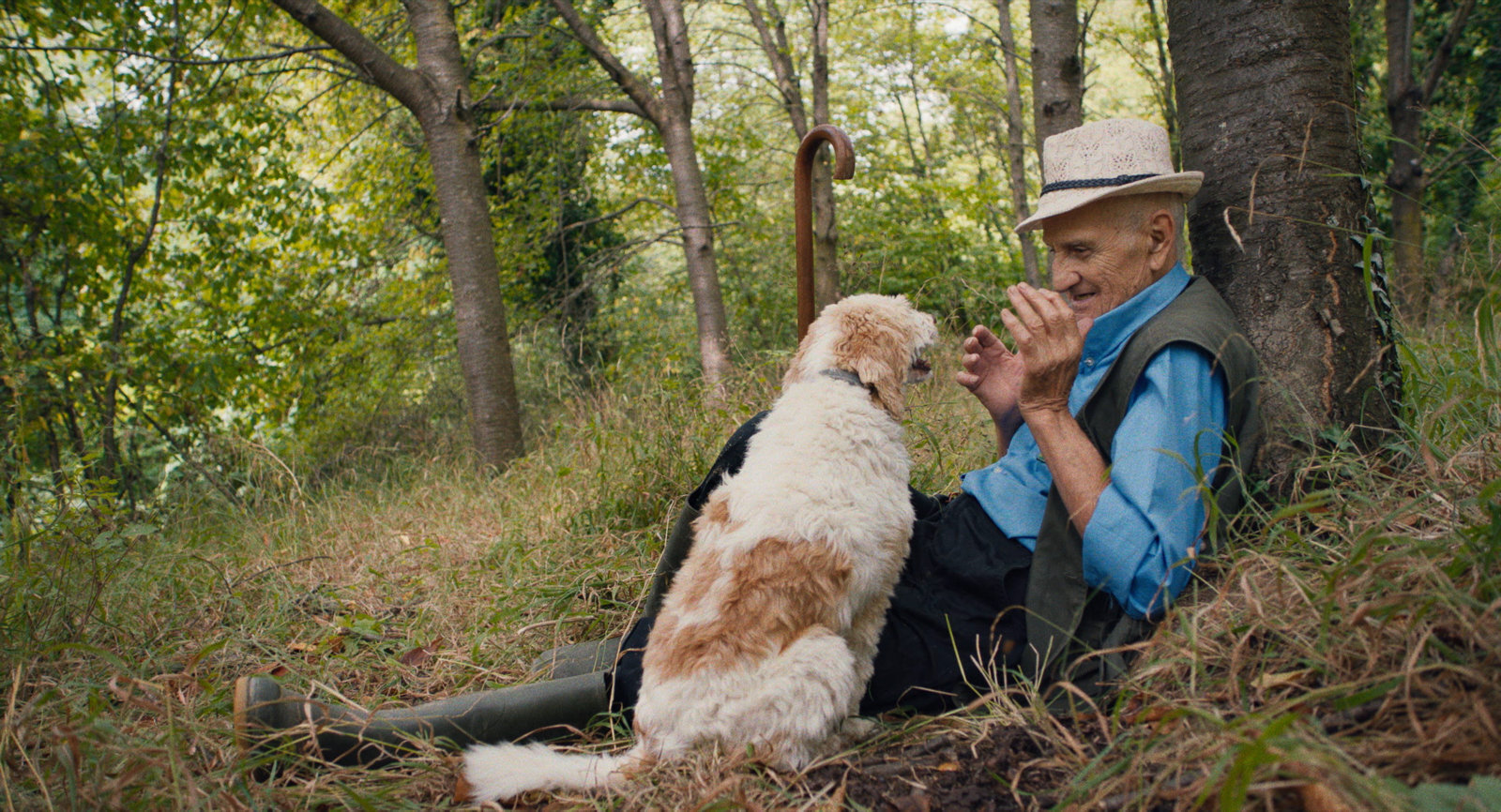 The Truffle Hunters